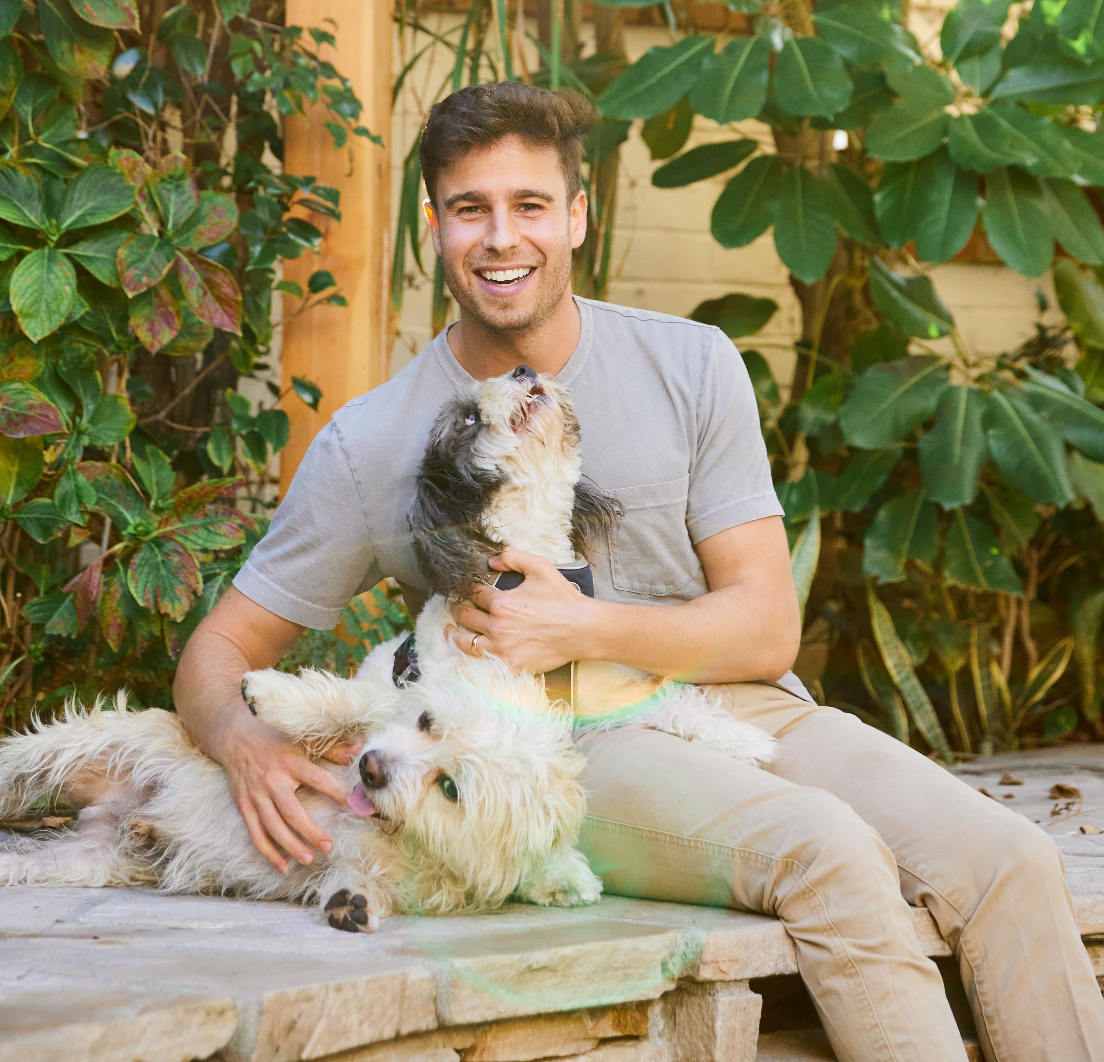 Brandon Werber, Airvet founder