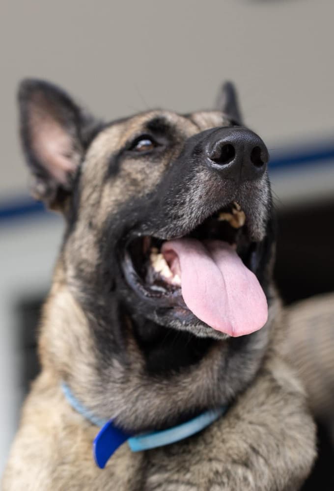 Kristina and Kingsley