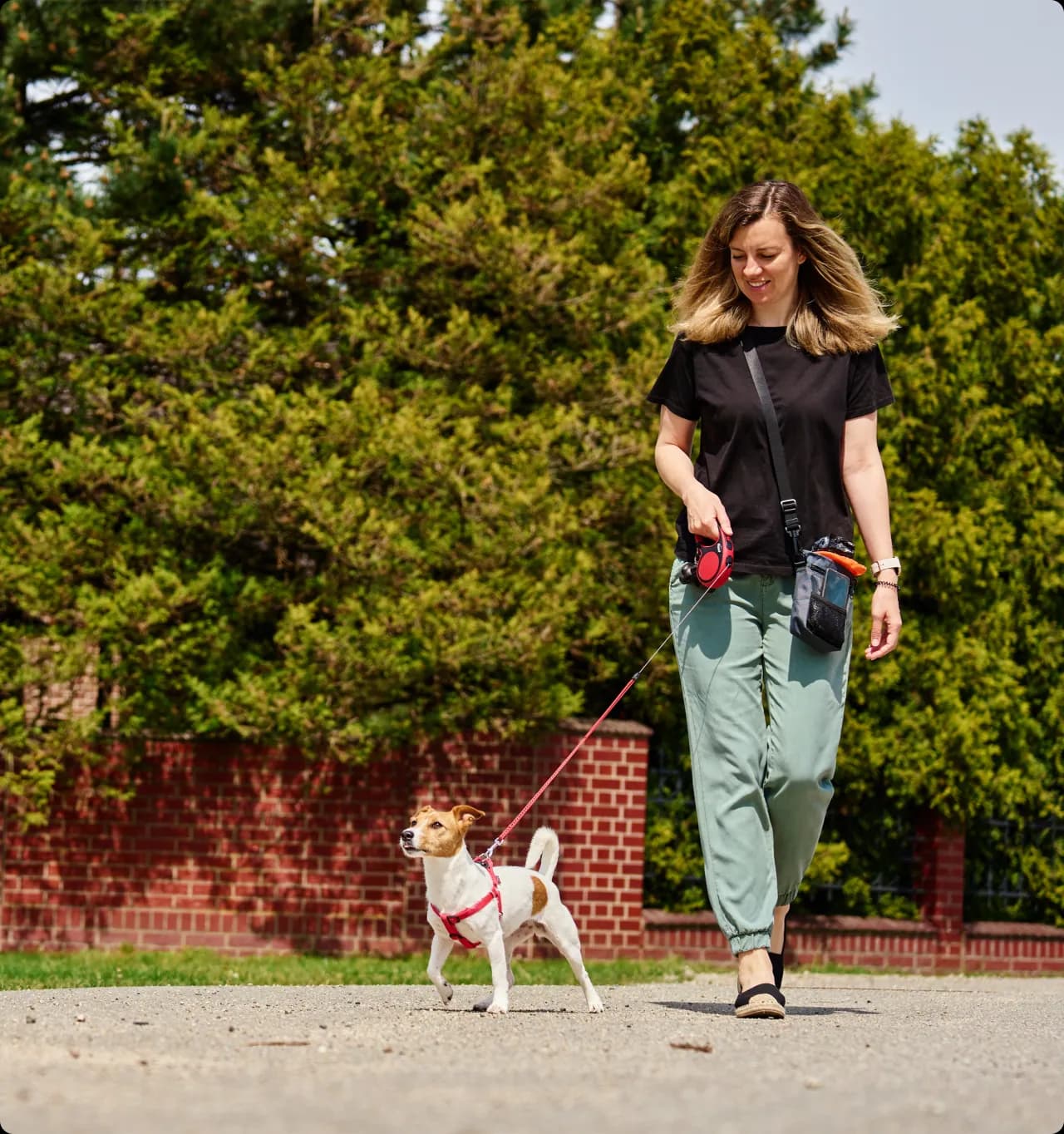 woman walking a dog